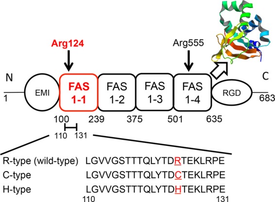 FIGURE 1.