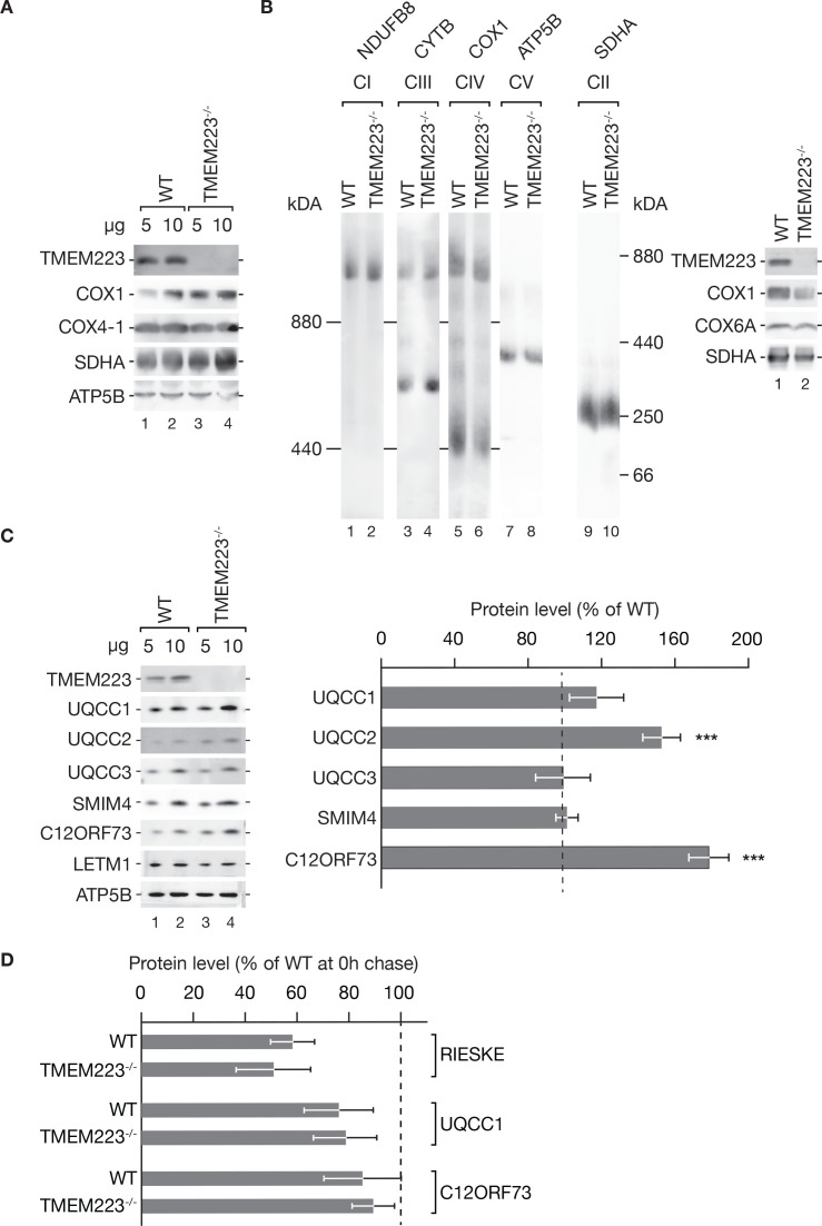 Figure 2—figure supplement 1.