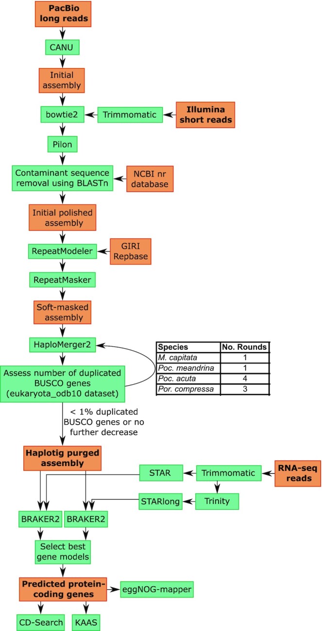 Figure 1: