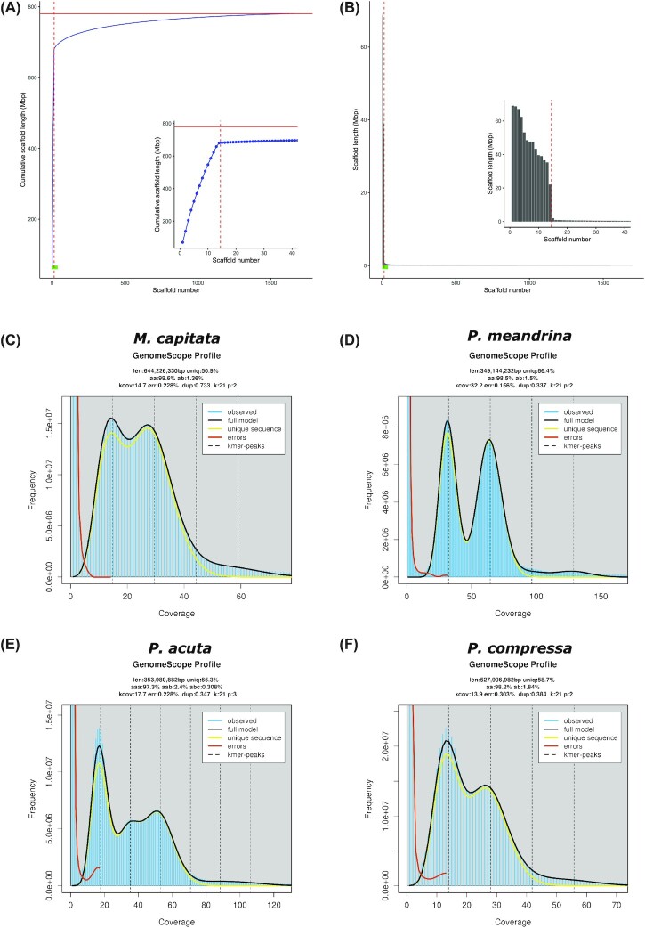 Figure 2: