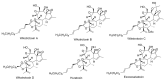 Figure 19