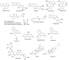 Figure 21