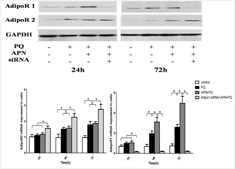 Fig 9