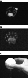 Fig. 1.