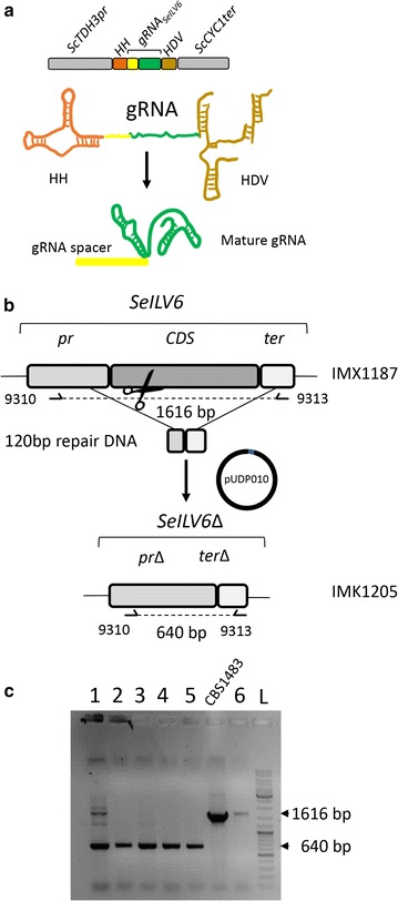 Fig. 6