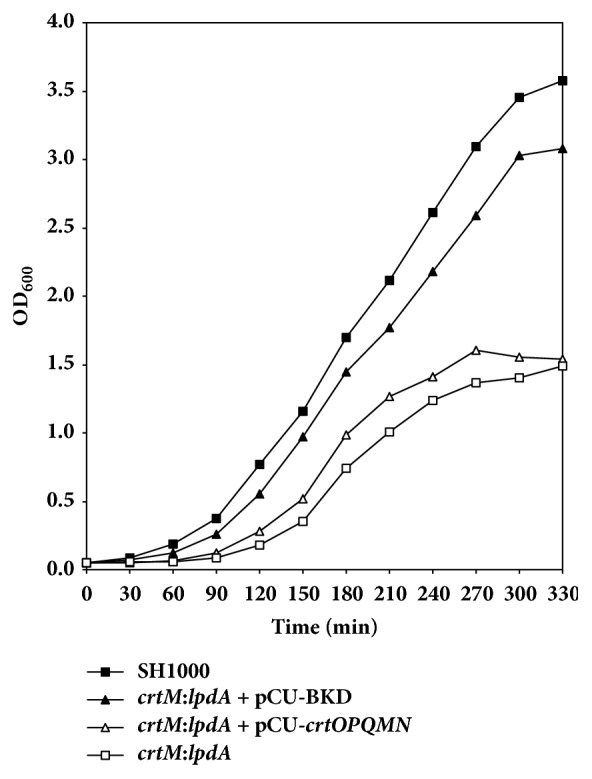 Figure 2