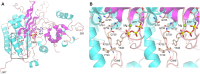 Fig 7