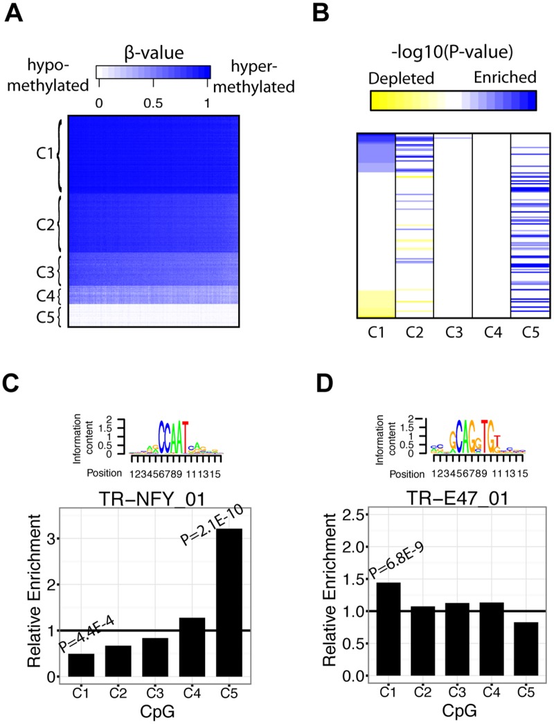 Fig 6