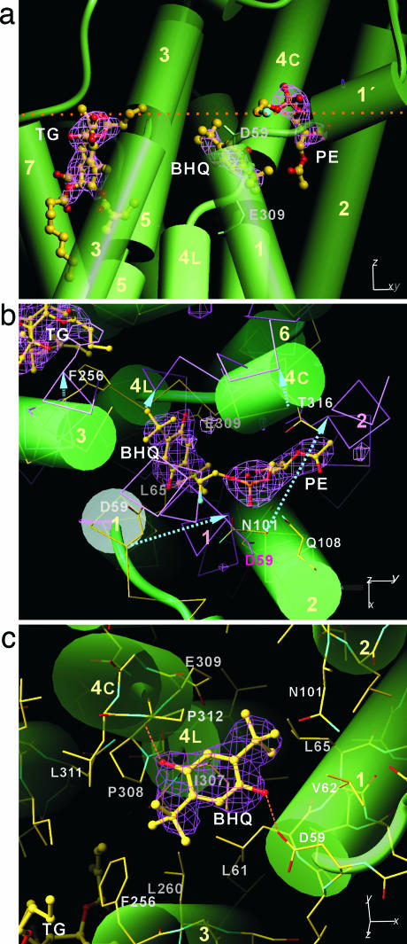 Fig. 3.