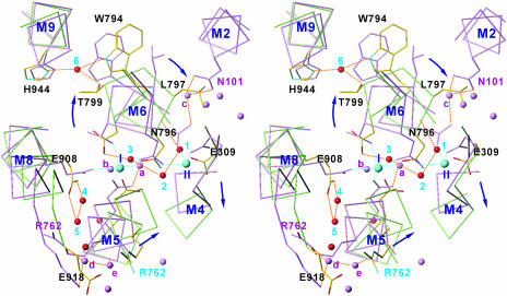 Fig. 7.