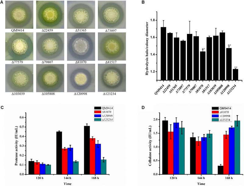 FIGURE 4