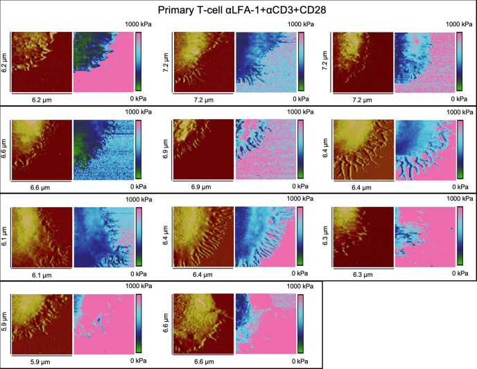 Figure 2—figure supplement 4.