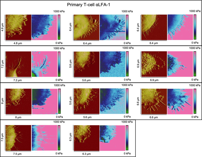 Figure 2—figure supplement 3.