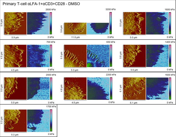 Figure 3—figure supplement 1.