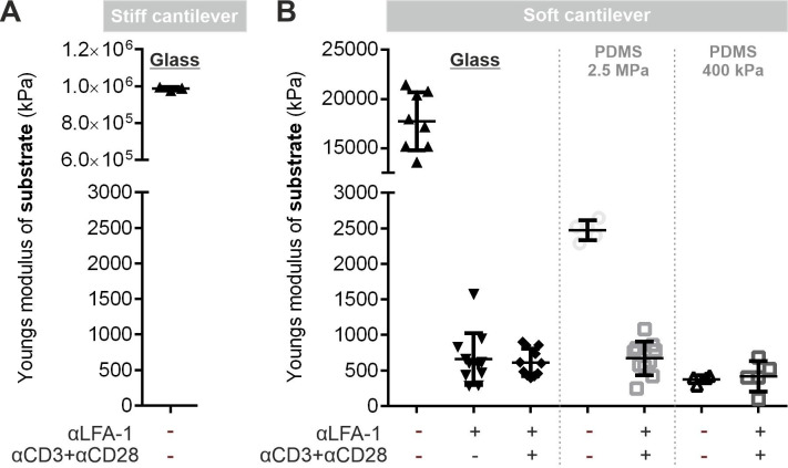 Figure 2—figure supplement 2.