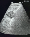 Figure 10.