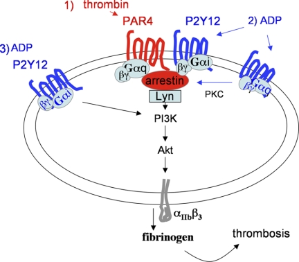 FIGURE 9.