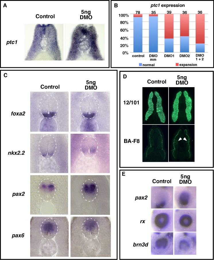 FIGURE 2.