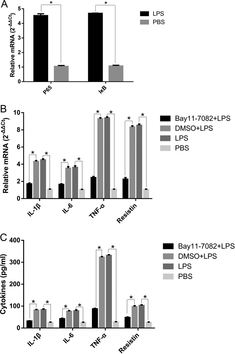 FIG 6