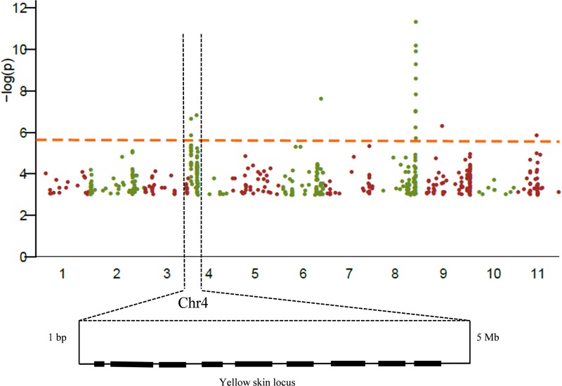 Fig 3