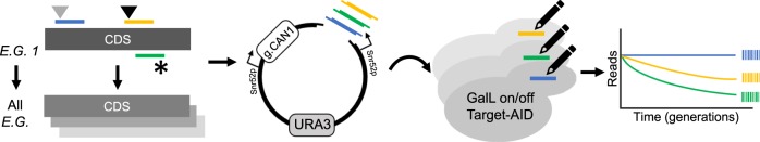 Fig. 2