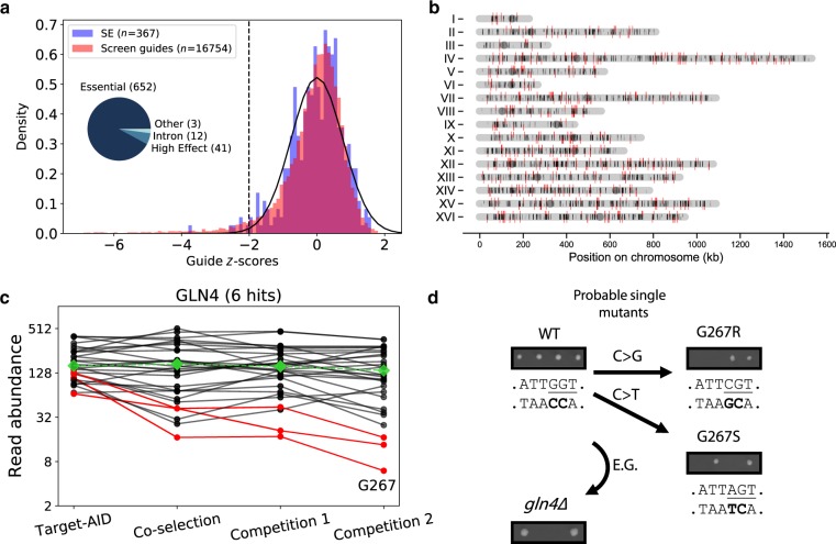 Fig. 3