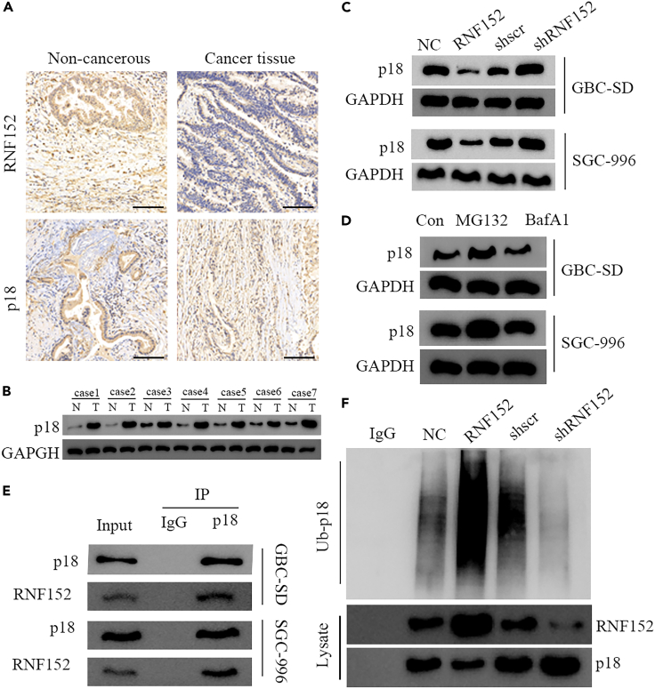 Figure 6