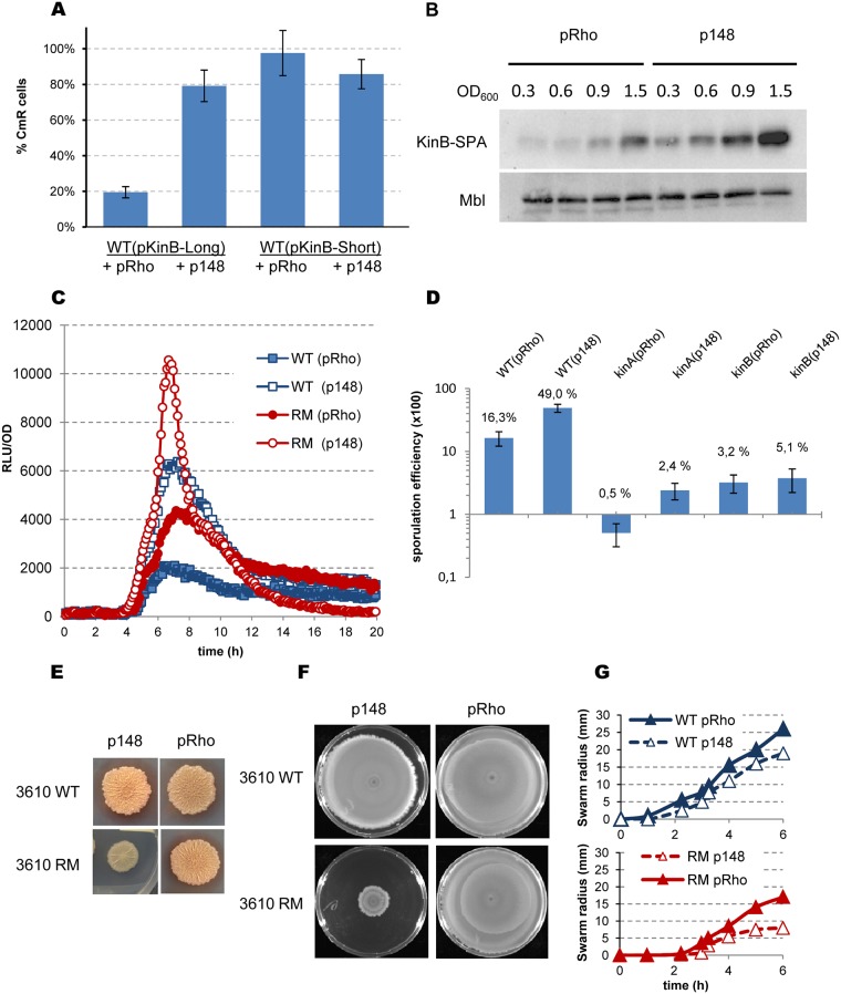 Fig 10