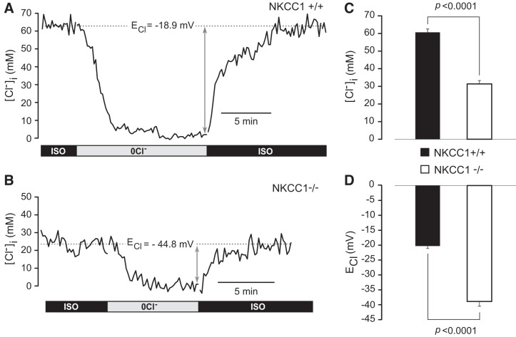 Fig. 8.