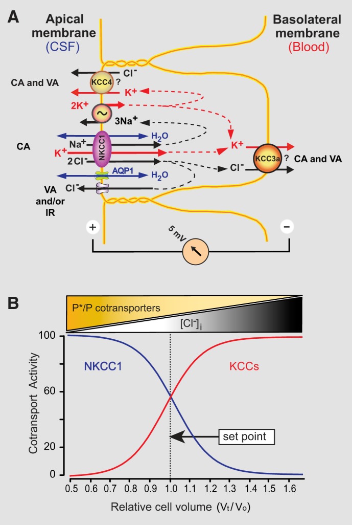 Fig. 11.