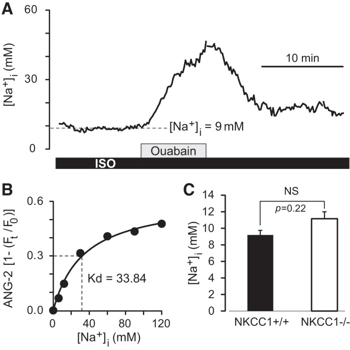 Fig. 7.