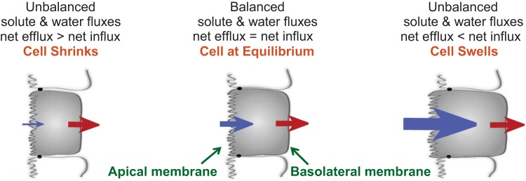 Fig. 10.