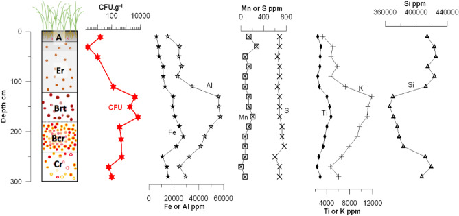 Figure 6