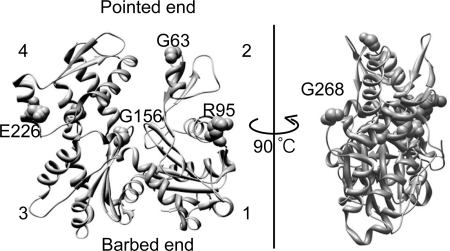 FIGURE 1.