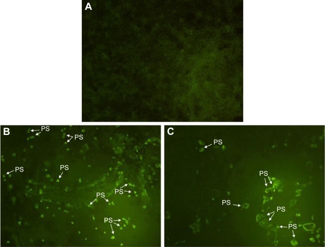 Figure 9