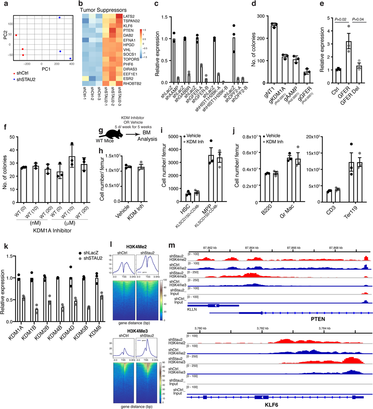 Extended Data Fig. 7 |