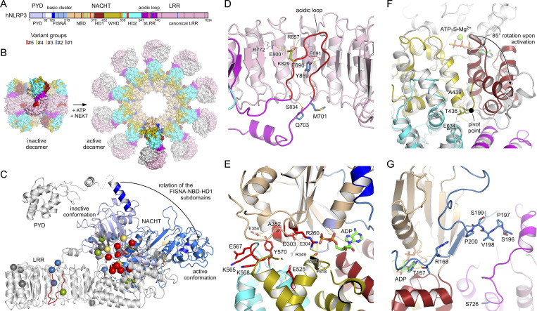 Figure 6.