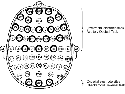 Fig. 1