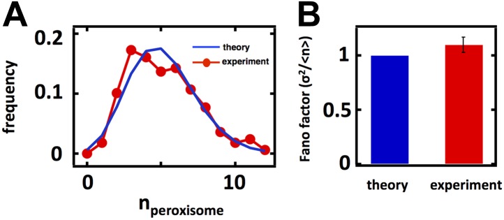 Figure 3—figure supplement 3.