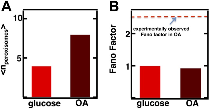 Figure 3—figure supplement 4.