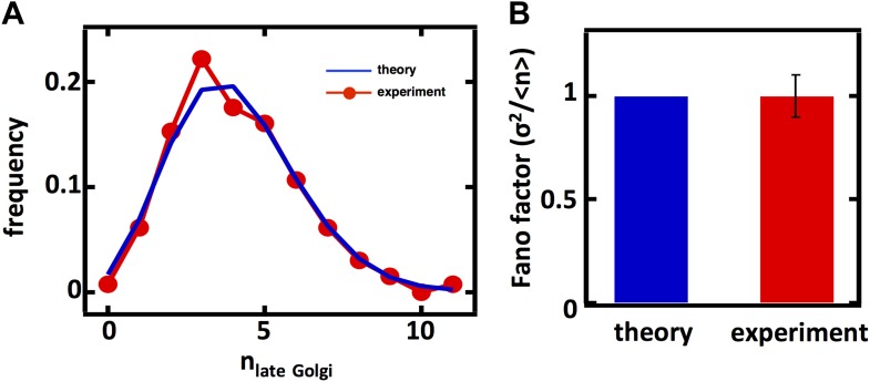 Figure 4—figure supplement 2.