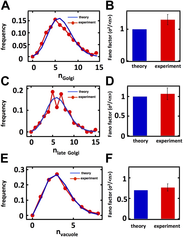 Figure 2—figure supplement 2.