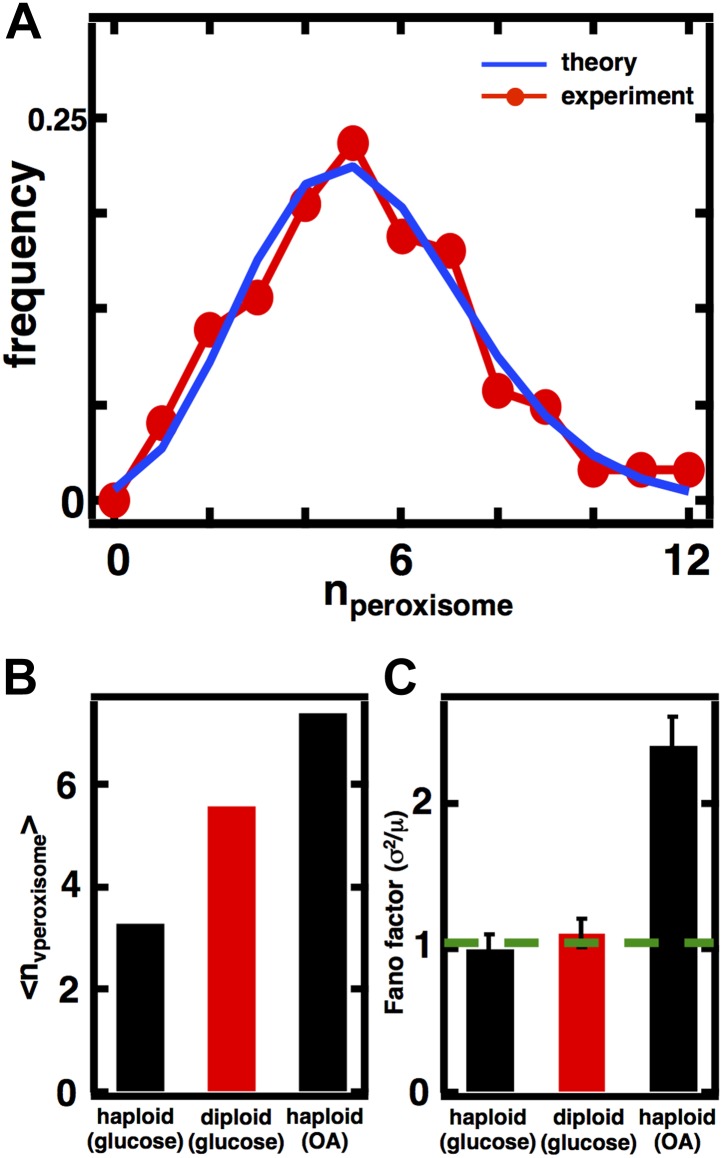 Figure 4—figure supplement 3.