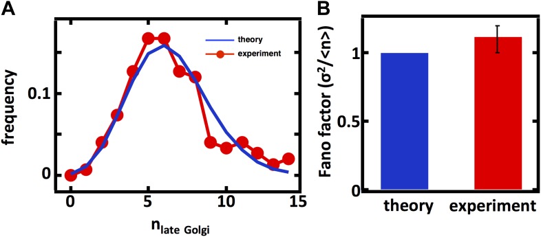 Figure 2—figure supplement 1.