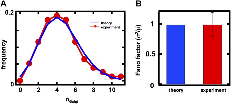 Figure 4—figure supplement 1.