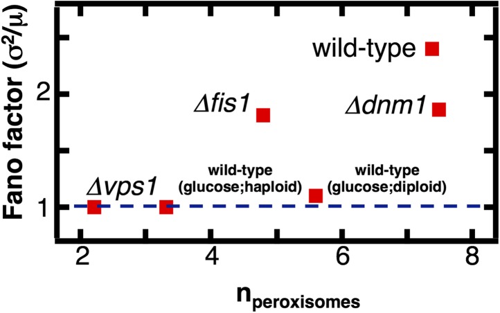 Figure 5—figure supplement 1.