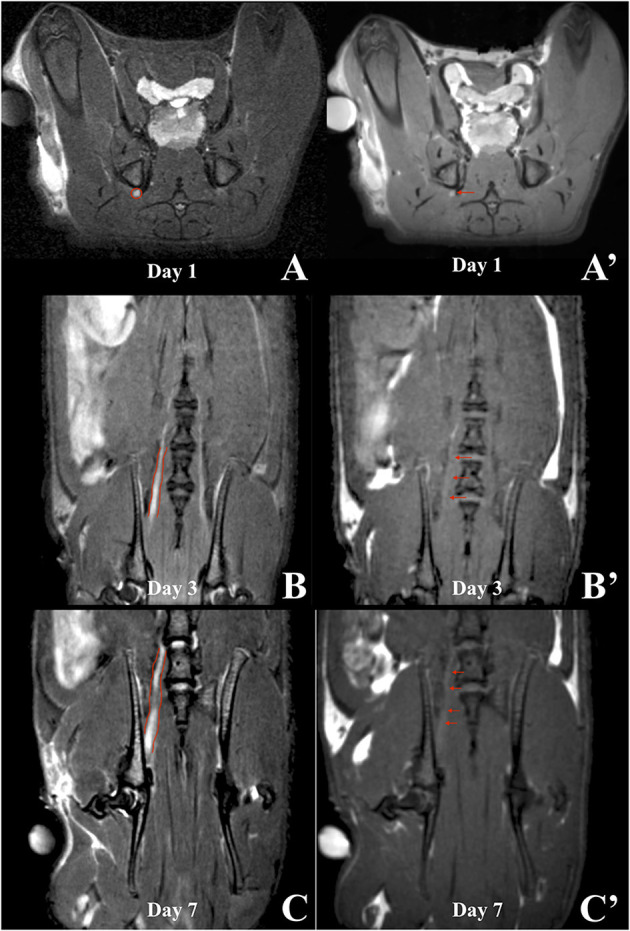 Figure 6