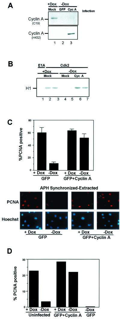 FIG. 7