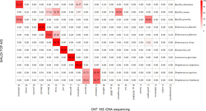 The figure depicts a heatmap comparing species identification between MALDI-TOF MS (y-axis) and ONT 16S rDNA sequencing (x-axis). Rows/columns represent bacterial species. Red color indicates higher matches, and white color indicates low/no matches.