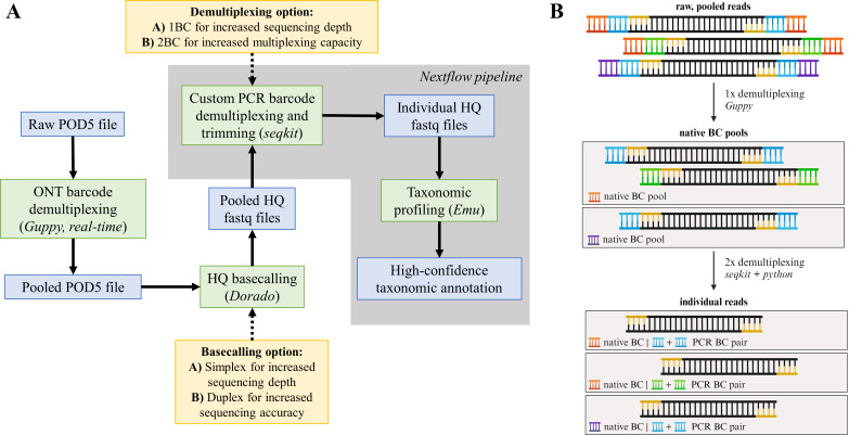 The figure shows two panels. In Panel A, a flowchart for demultiplexing HQ bacterial reads, starting from raw POD5 files to taxonomic profiling. Panel B compares sequencing workflows, showing native and PCR barcode pools with demultiplexing steps.